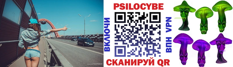 Псилоцибиновые грибы Cubensis наркошоп Алатырь