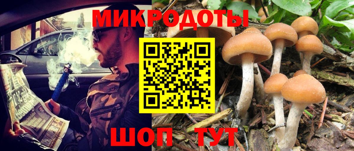 Галлюциногенные грибы Magic Shrooms  Вход с VPN  Галлюциногенные грибы ЛСД  сколько стоит  Алатырь 